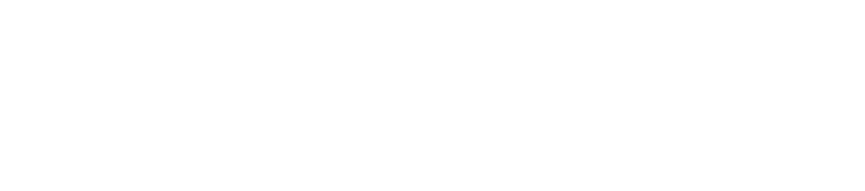 ZENLOGO2